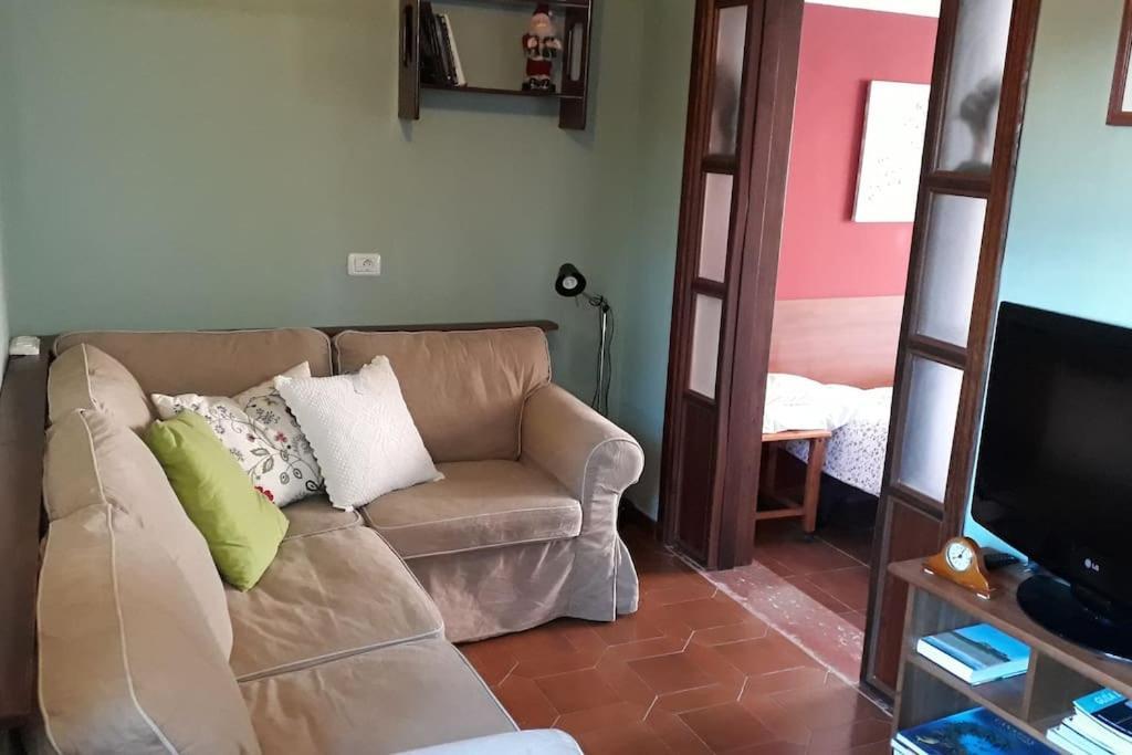 Apartamento Tranquilo En Una Casa Con Jardin 라 라구나 외부 사진