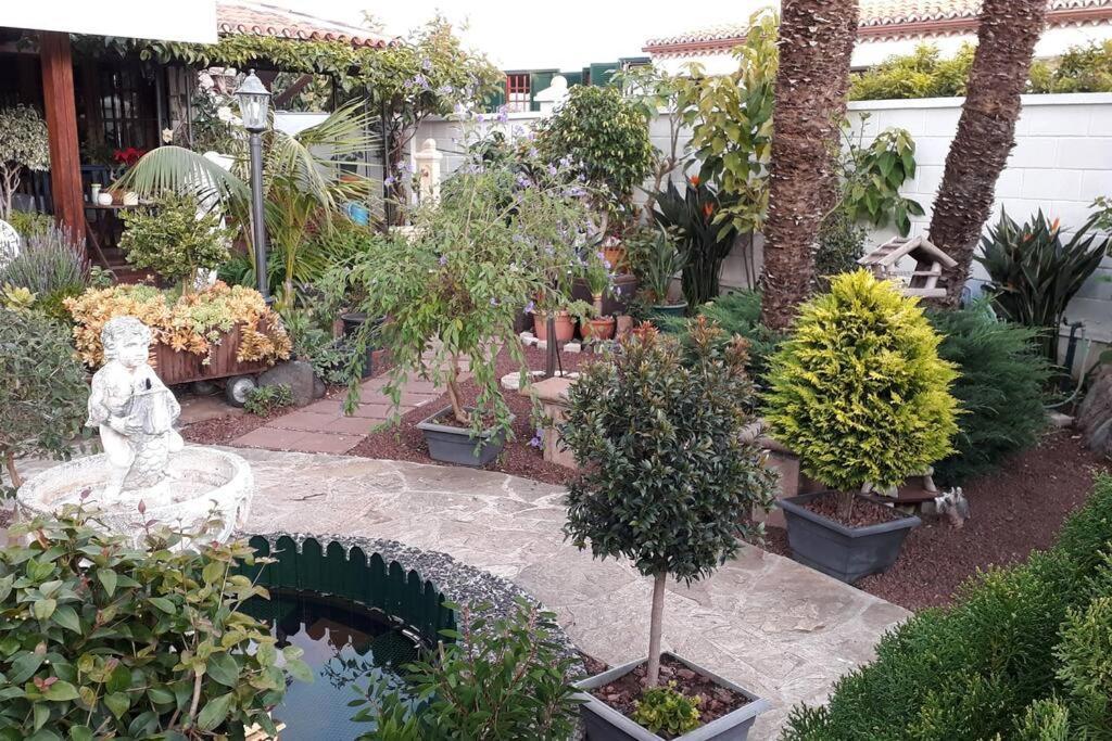 Apartamento Tranquilo En Una Casa Con Jardin 라 라구나 외부 사진