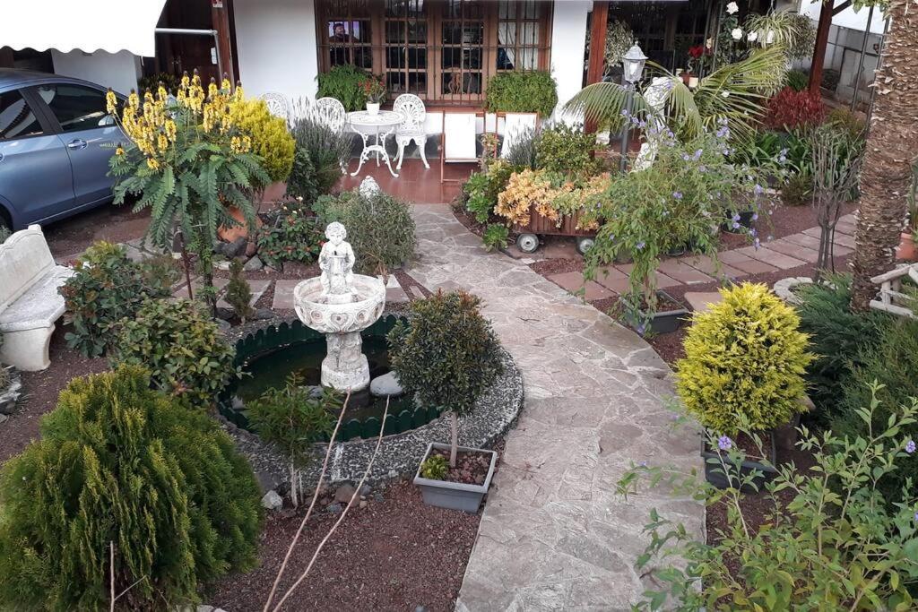 Apartamento Tranquilo En Una Casa Con Jardin 라 라구나 외부 사진