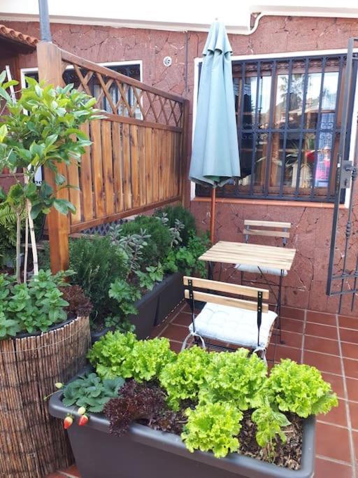 Apartamento Tranquilo En Una Casa Con Jardin 라 라구나 외부 사진