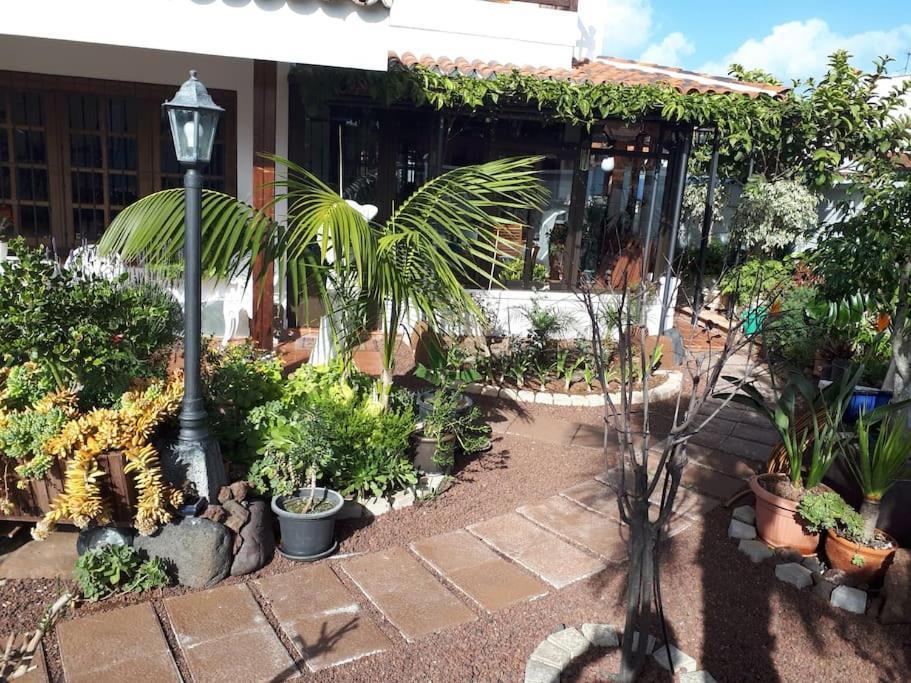 Apartamento Tranquilo En Una Casa Con Jardin 라 라구나 외부 사진